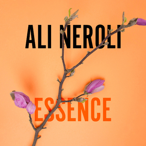 张家界新娘吴敏mv观看
