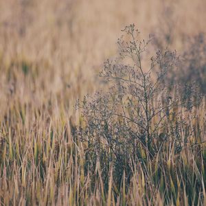 张家界新娘吴敏mv观看
